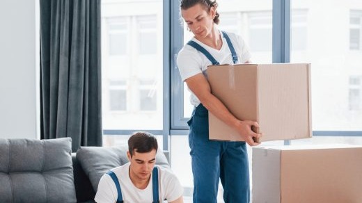 Profesyonel Taşımacılık Elemanlar 